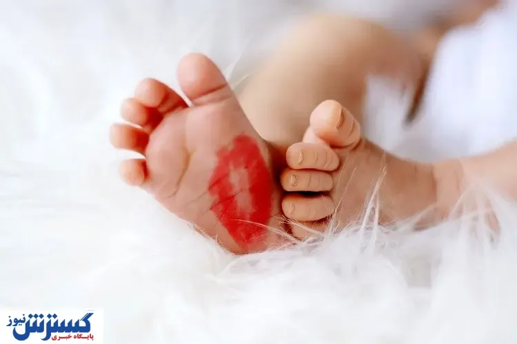 هدیه ۷۰ میلیونی تأمین‌اجتماعی ویژه بیمه‌شدگان + جزییات