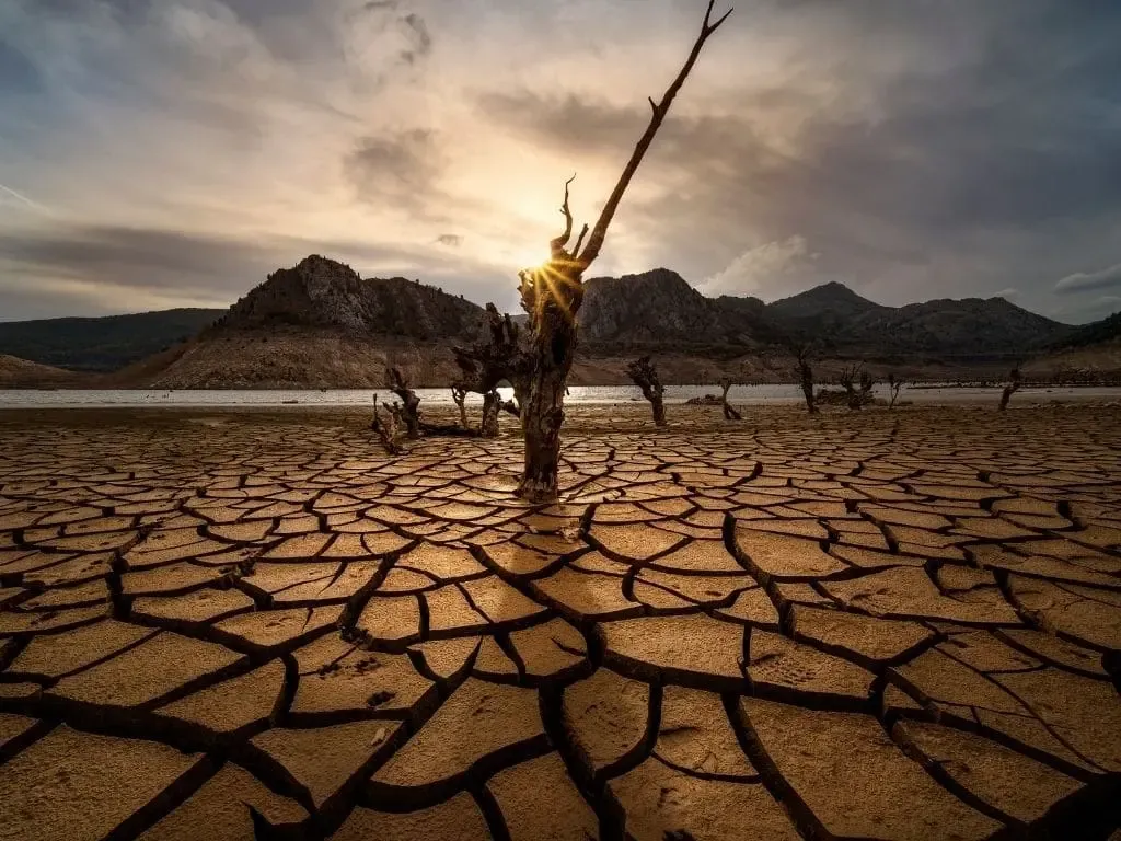 زنگ خطر برای تهران به صدا در آمد / اعداد نگران کننده شد
