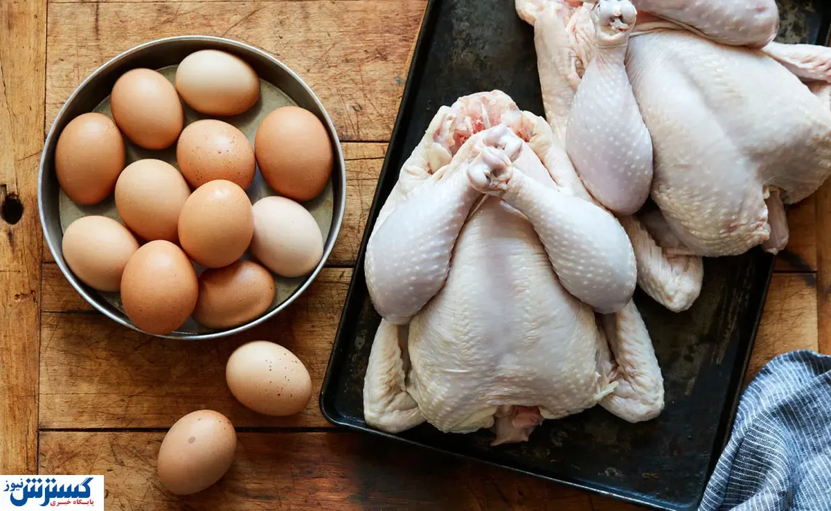 خبر مهم درباره تغییر قیمت شیرخام، مرغ و تخم‌ مرغ