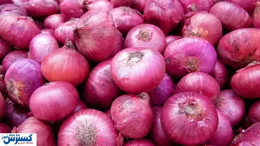 خبر خوش درباره قیمت پیاز اعلام شد (۶ بهمن)