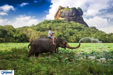 قیمت تور سریلانکا شهریور ۱۴۰۳ |  ظرفیت های فرهنگی  سریلانکا، تا چه حد در جذب گردشگر موثر است؟