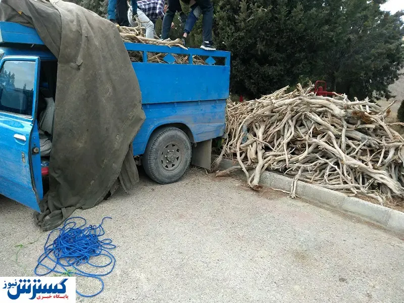 پرسودترین قاچاق ایران / بالاتر از موادمخدر