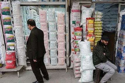 قیمت برنج ایرانی و خارجی اعلام شد / هر کیلو چند؟