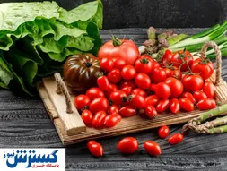خبر جدید برای صادرکنندگان گوجه فرنگی در بوشهر