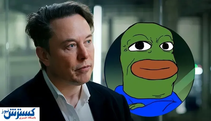 توییت ایلان ماسک کار دست پپه قورباغه داد / قیمت باب اوج گرفت