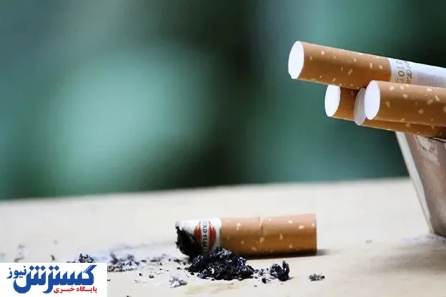 آیا ویپ، آیکاس و سیگار سلامت بدن را تهدید می‌کنند؟