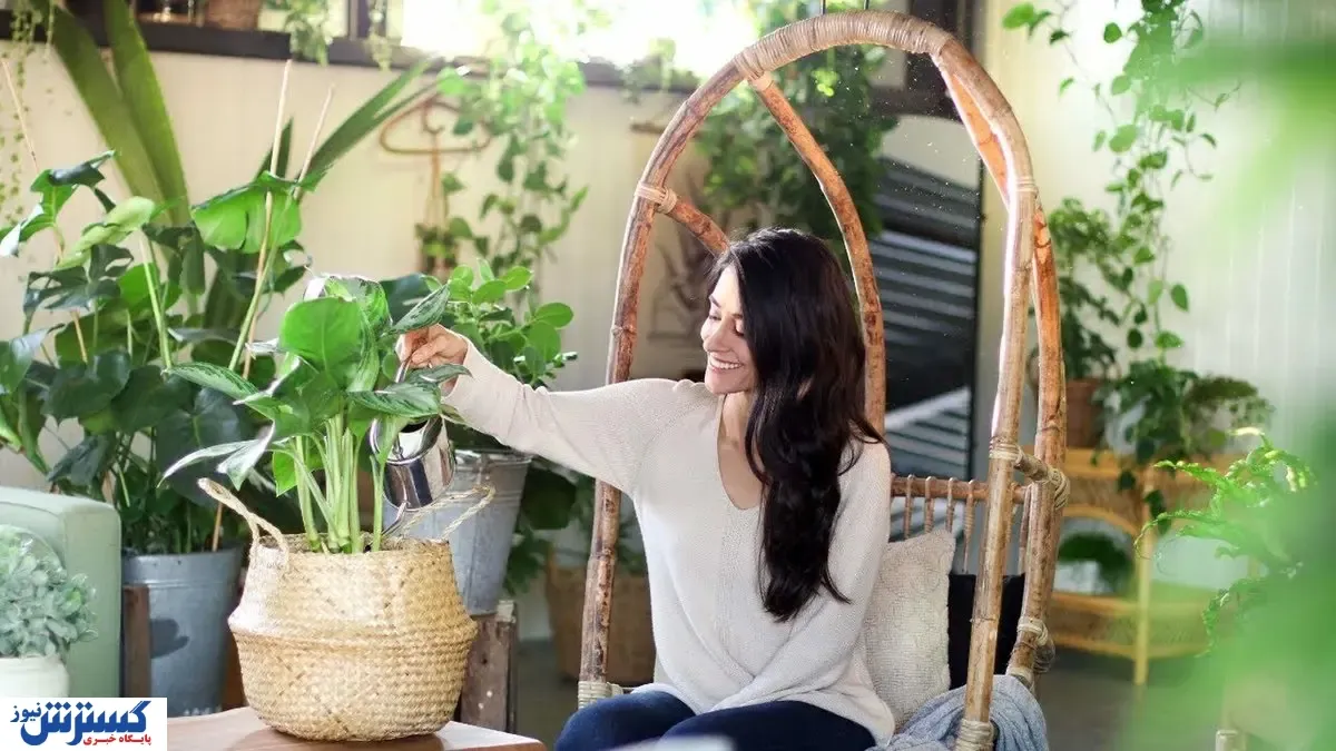 نکات مراقبت از گیاهان آپارتمانی برای مبتدیان