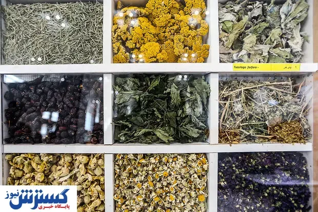 آیا داروهای گیاهی برای کبد مضر هستند؟