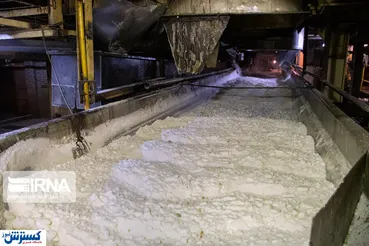 تصاویر / مراحل تولید شکر از چغندر قند