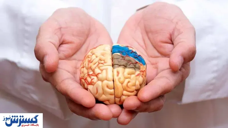 با این تکنیک تقویت حافظه، همه چیز را به یاد بیاورید