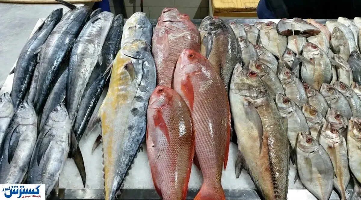 قیمت جدید ماهی اعلام شد (۱  آذر ۱۴۰۳)