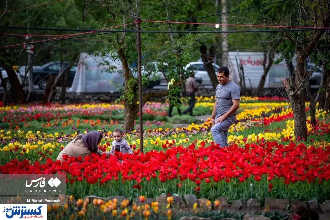 سفر مجازی به جشنواره دیدنی گل های رنگی + تصاویر
