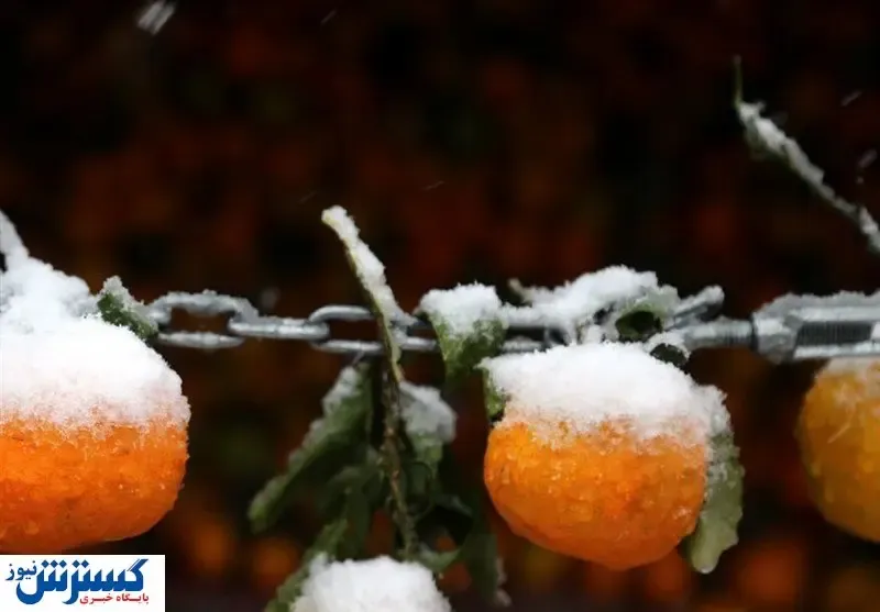 پیش بینی وضعیت هوای تهران / پایتخت کی بارانی می شود؟