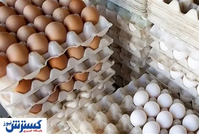 آخرین خبرها درباره قیمت تخم‌ مرغ