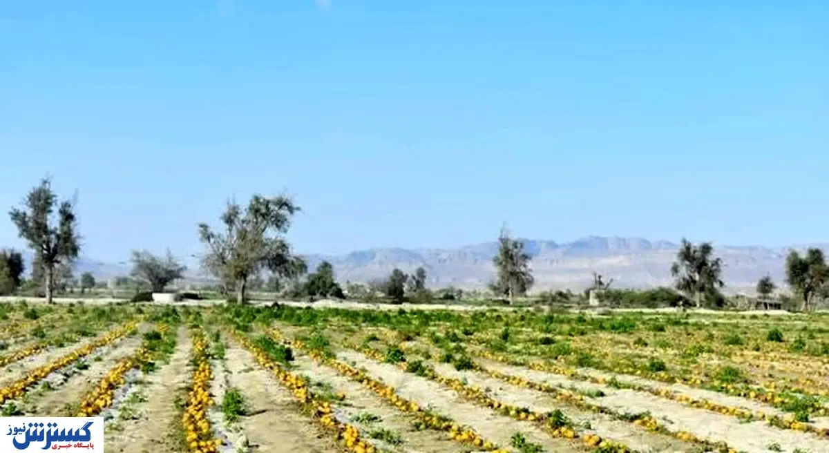 کدام مشاغل در بحران کرونا کمتر آسیب دیدند؟