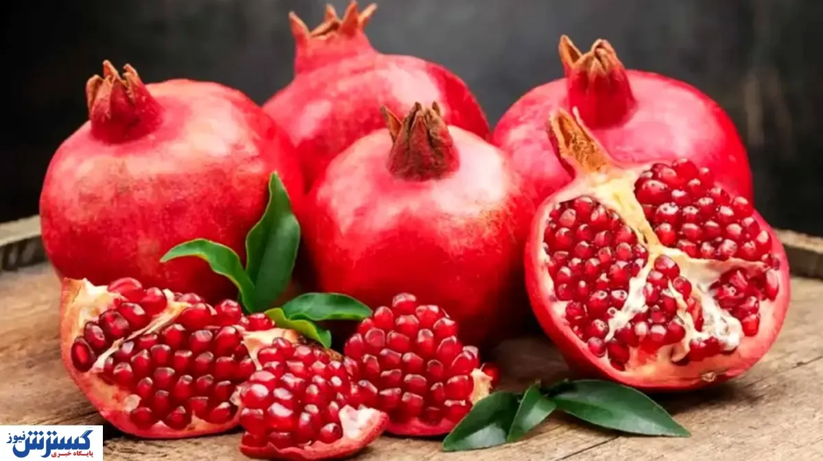 چه کشوری بزرگترین صادرکننده انار در جهان است؟ / مشکلی برای تأمین میوه شب یلدا وجود ندارد