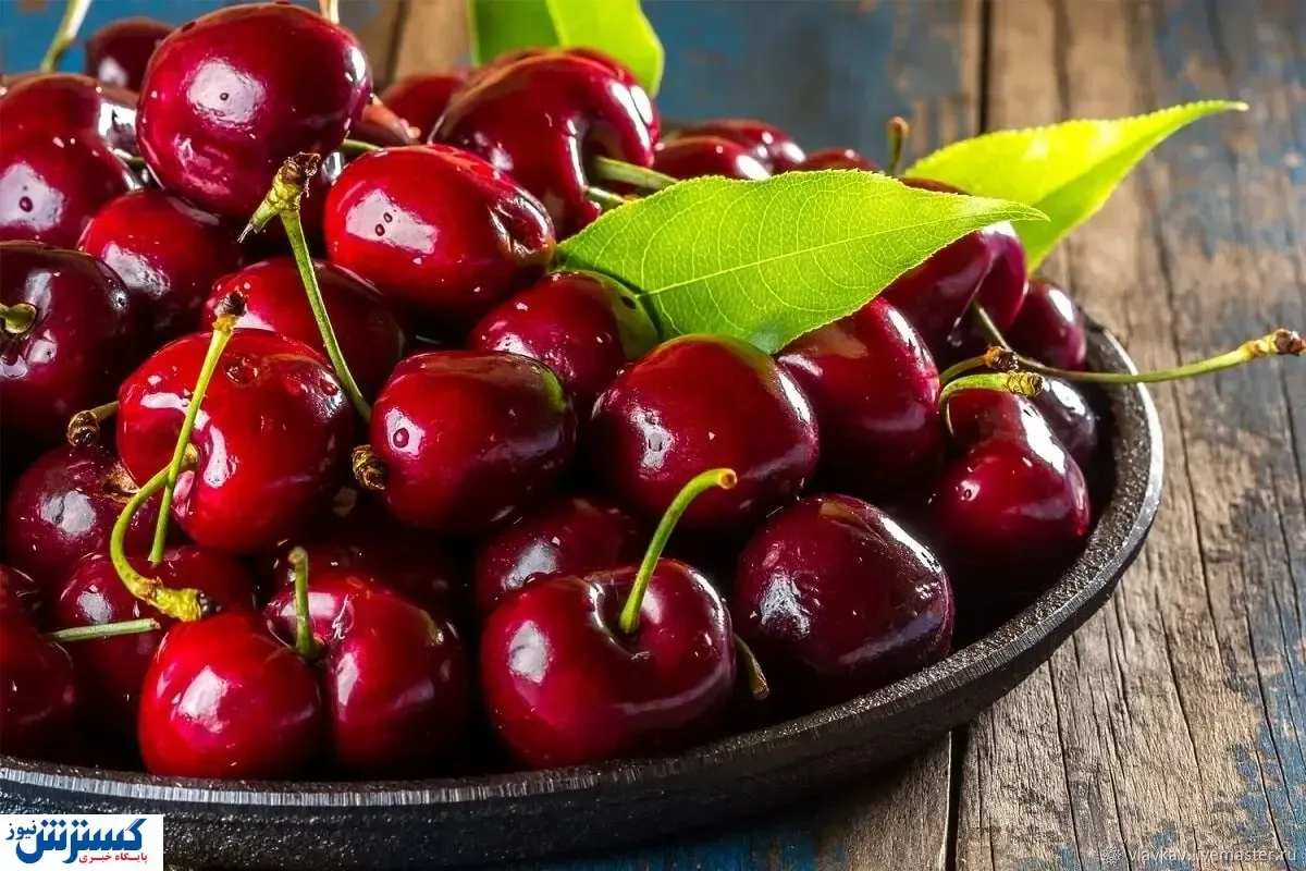 قیمت گیلاس میلیونی اعلام شد + عکس