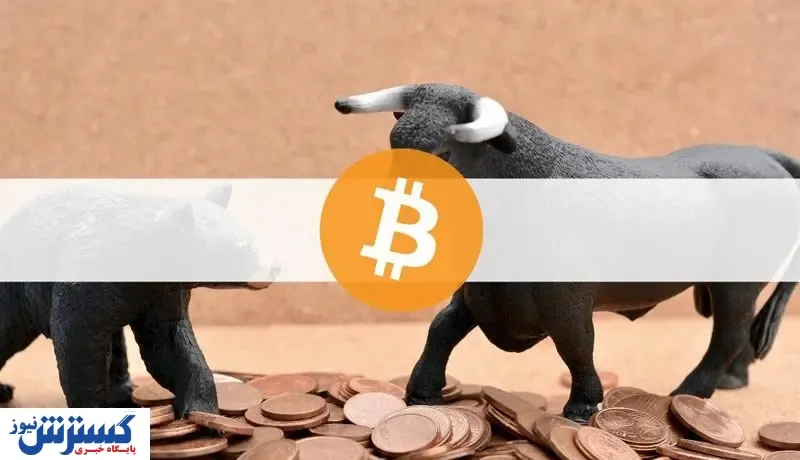 بازگشت گاوها / افزایش قیمت بیت کوین در راه است؟