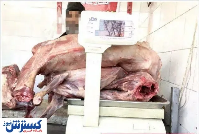پشت پرده فروش گوشت سگ