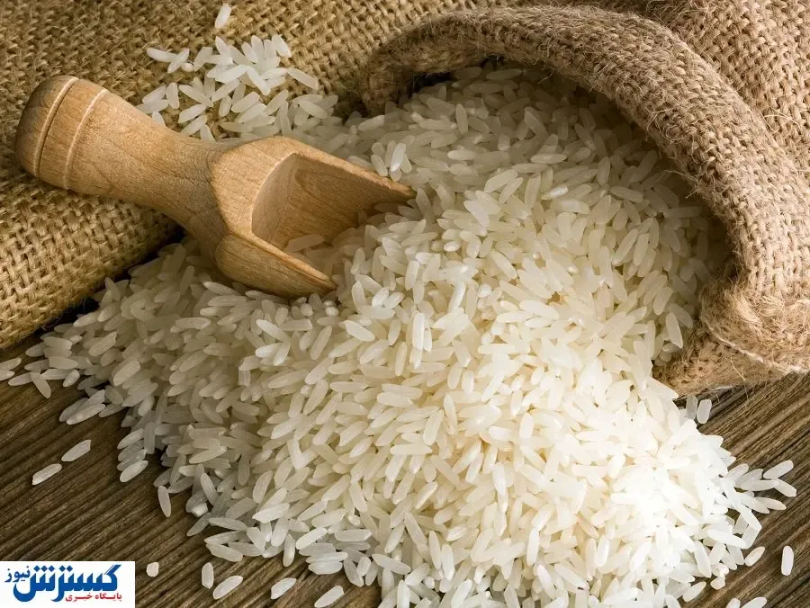 قیمت برنج در برزخ / سفره ایرانیان کوچک‌تر می‌شود
