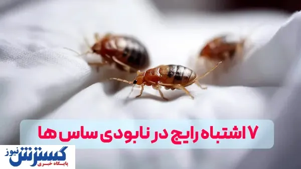 ۷ اشتباه رایج در نابودی ساس که باید بدانید! + راه‌حل‌های از بین بردن ساس