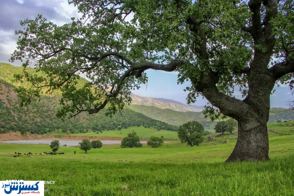 تصاویر/ بازُفت، نگین سبز چهارمحال و بختیاری
