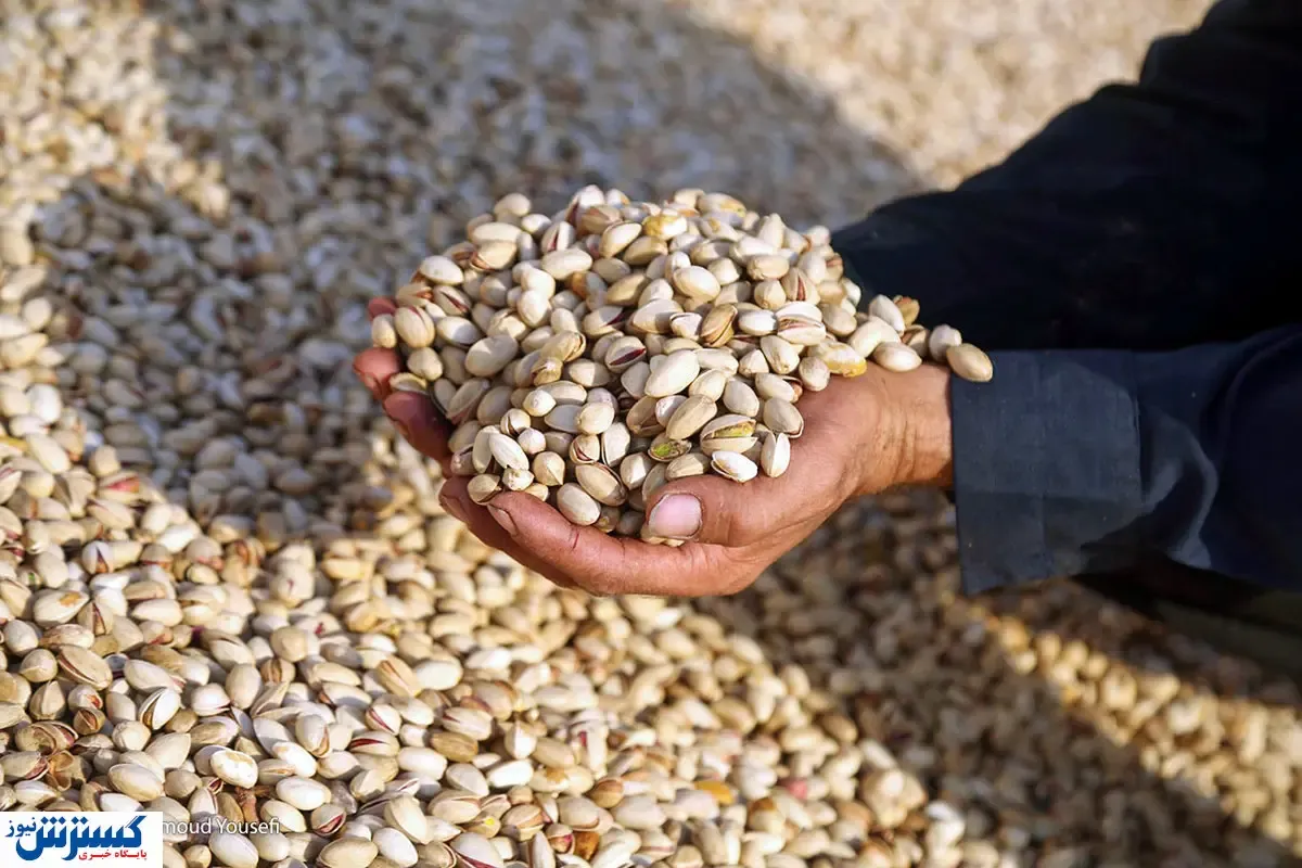 خبر نگران‌کننده از صادرات/ این محصول هم دیگر صادر نمی‌شود