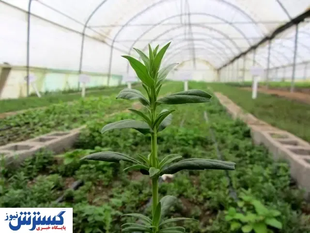 تسهیلات خوب برای یک تولید خاص