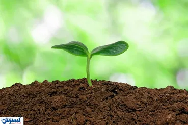 حاصلخیزترین خاک جهان | خاک این مناطق طلا است