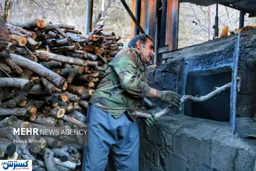تصاویر/ تولید زغال به روش سنتی