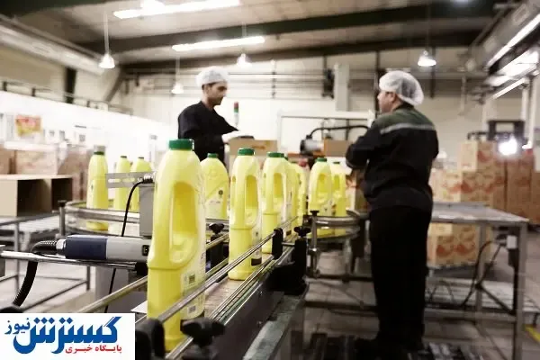 تولیدکنندگان بذر، بازنده بازی مافیا