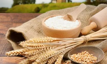 خبر رسمی درباره قیمت گندم بعد از تغییرات ارزی در کشور اعلام شد
