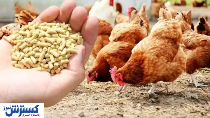 قیمت روز نهاده های دامی و کشاورزی در بازار (۱۴۰۰/۰۲/۲۰) + جدول
