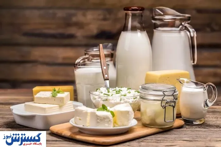 پنیر فعلا ارزان است / خطر جدی بیخ گوش تولیدکنندگان لبنیات