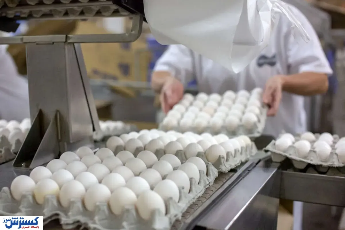 قیمت تخم مرغ در شرایط جنگ تحمیلی
