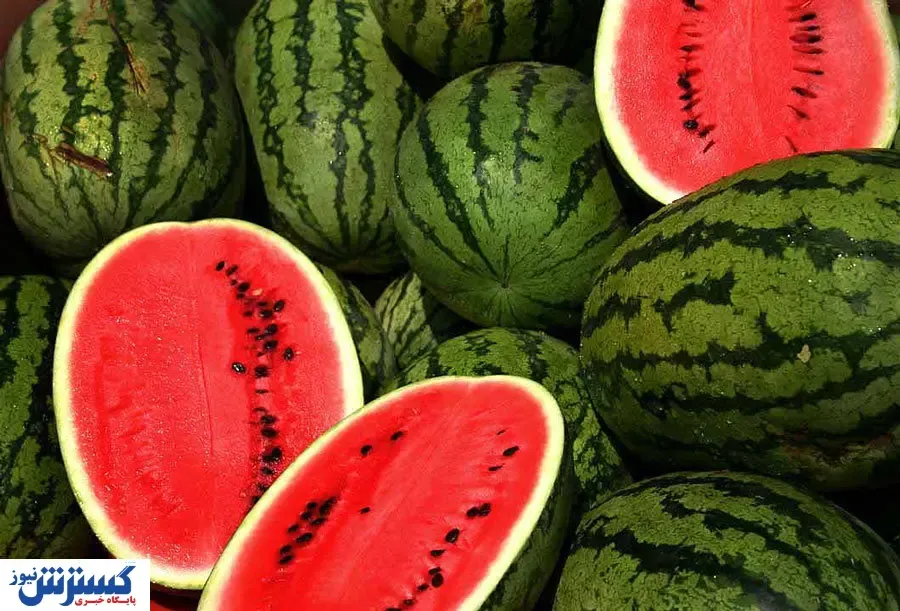 صادرات آب مجازی به ترکیه!+ فیلم