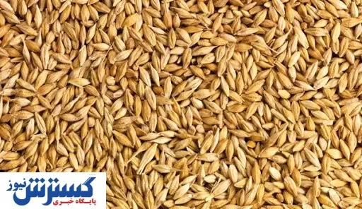 قیمت عرضه جو وارداتی چقدر است؟