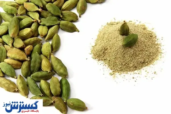 قیمت هل باورنکردنی است / ۳۱ میلیون ناقابل برای ۳۰ سی سی اسانس!