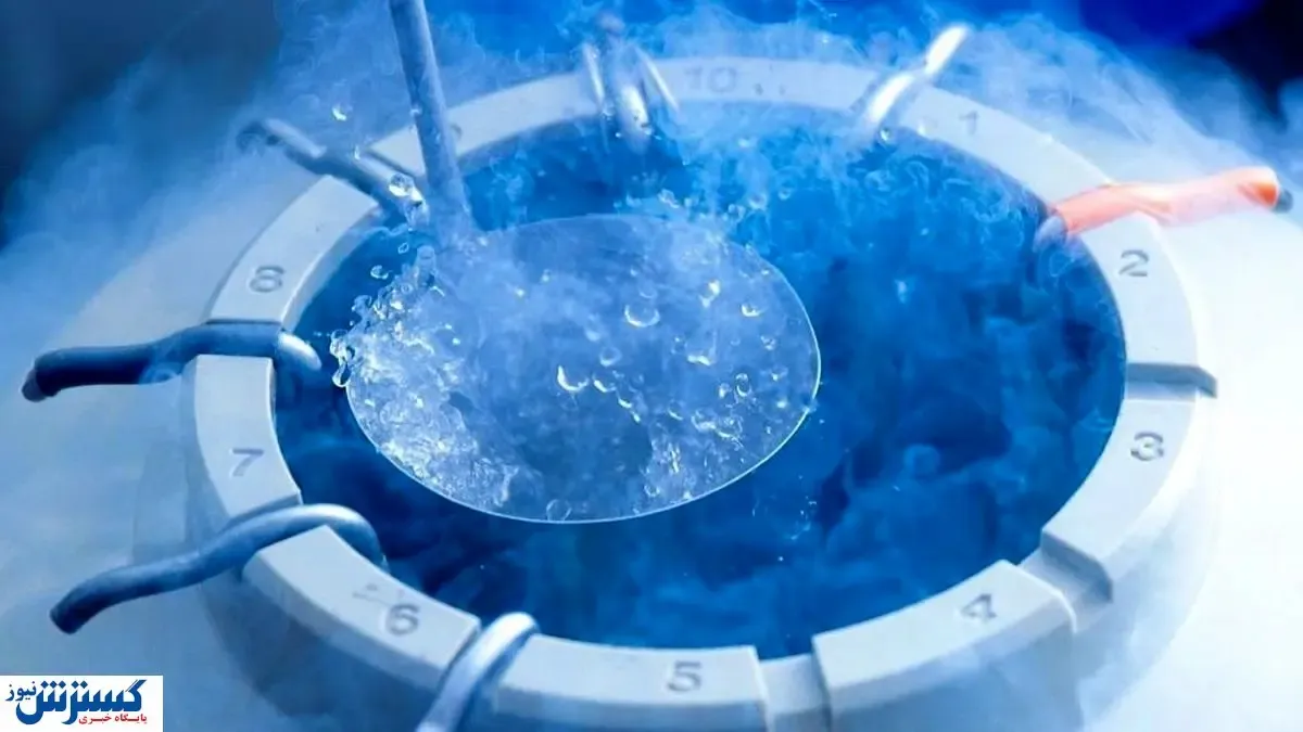 تصمیم جدید دولت برای جوانی جمعیت/فریز کردن تخمک بیمه شد