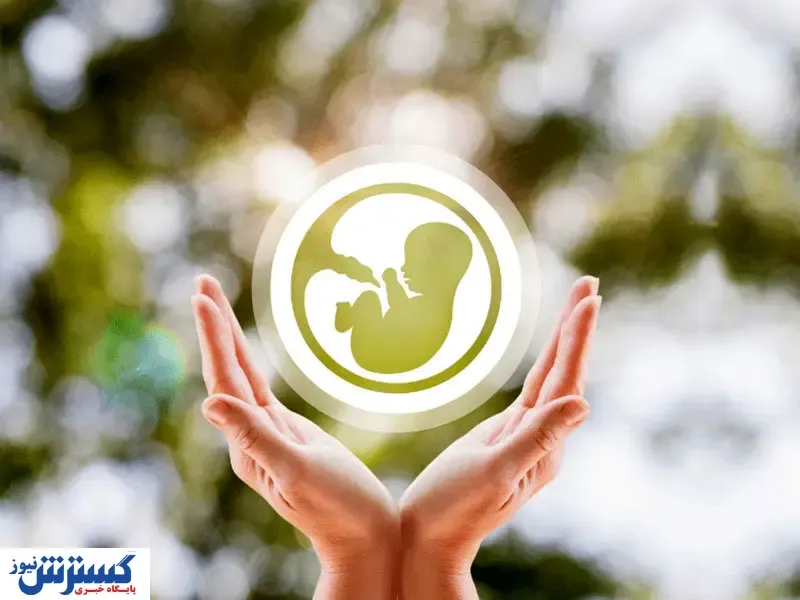 پوشش ۹۰ درصد بیمه ناباروری /  ۶۳ هزار زوج نشان دار شدند