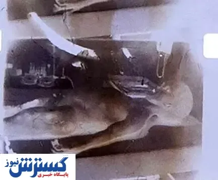 فیلم موجودات فضایی؛ ۱ میلیون دلار  / عکس