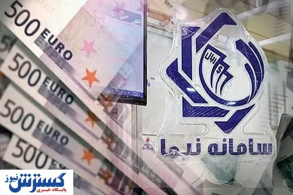 ۱۱۷ میلیون دلار حواله ارزی در سامانه نیما عرضه شد