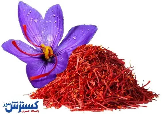 اما و اگرهای صادرات طلای سرخ
