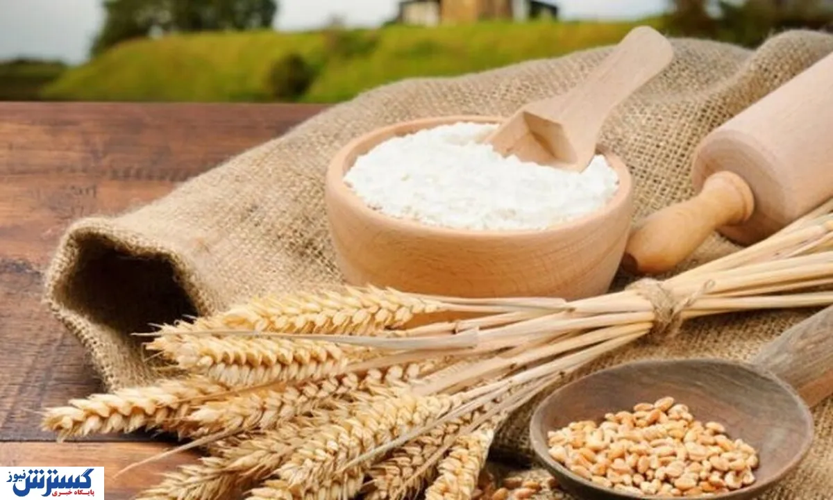 قیمت خرید تضمینی گندم باید اصلاح شود