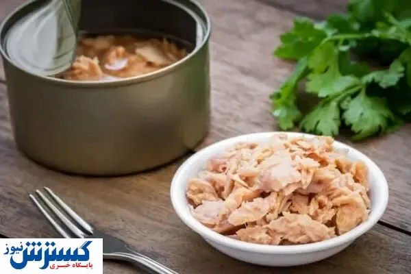 سازمان حمایت قیمت عادلانه بدهد / تن ماهی باید ۴۵ هزار تومان شود