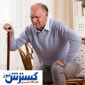 گیاهی برای رفع زانودرد سالمندان