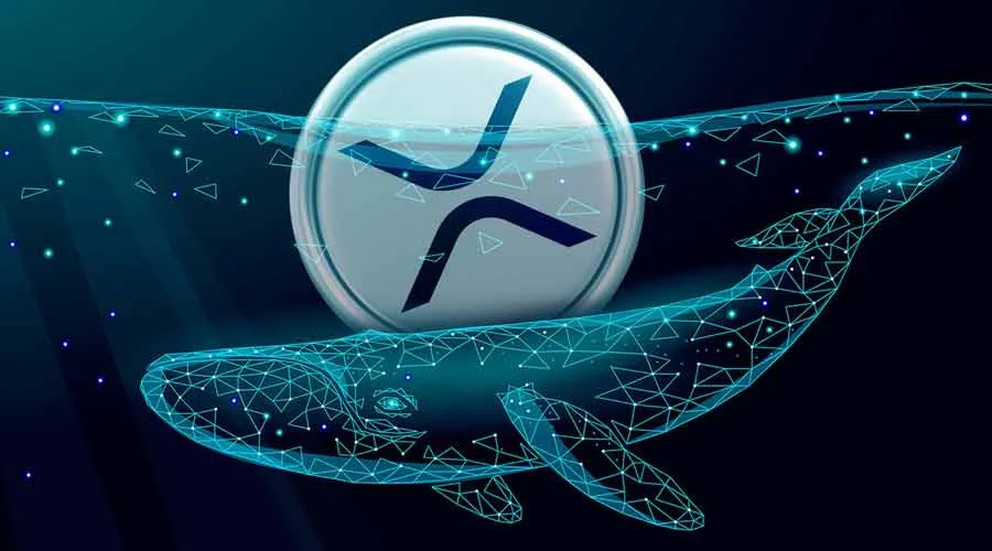 خبر خوش برای بازار ارز دیجیتال / سود میلیارد دلاری در راه است ؟