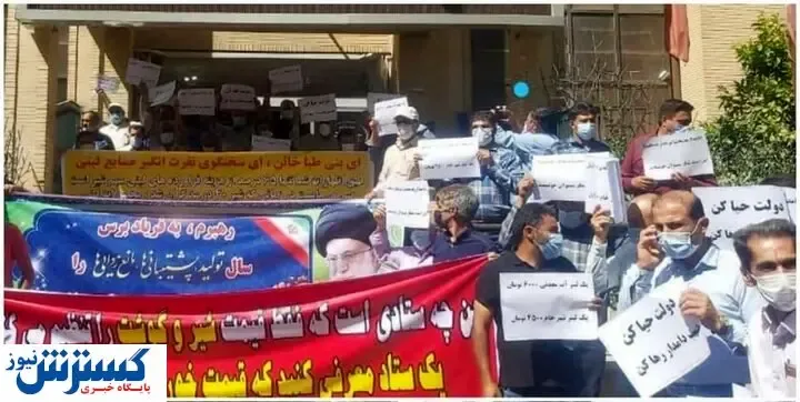 دامداران معترض به خیابان ها آمدند! + عکس