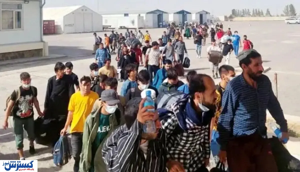 لطف کارگران ایرانی به نیروی کار بیگانه؛ این مشاغل سهم اتباع شد