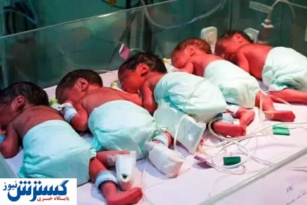 تولد ۵ قلوها در شیراز + عکس